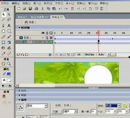 国产sop精品视频,揭秘高效生产流程与品质保障